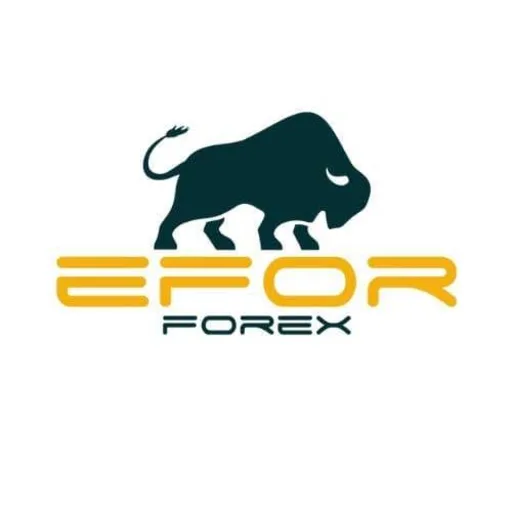 EFOR FX